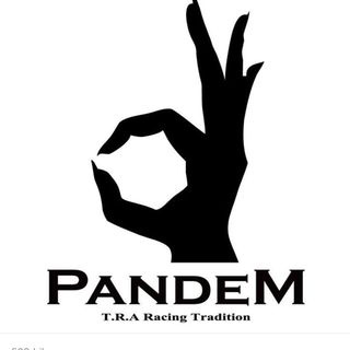 Pandem USA logo