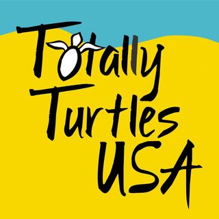 Turtle Tracks Family logo