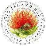 Big Island Bees logo