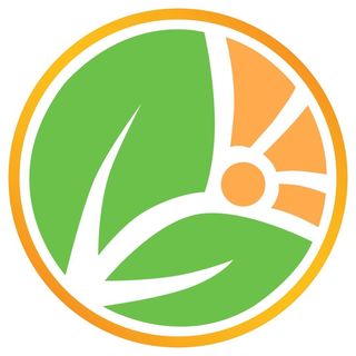 MY VIDA ORIGINS logo