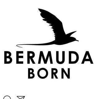 Bermuda Born logo