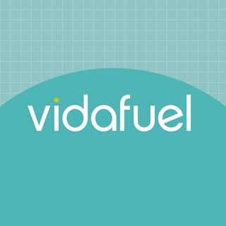 Vida-Fuel logo