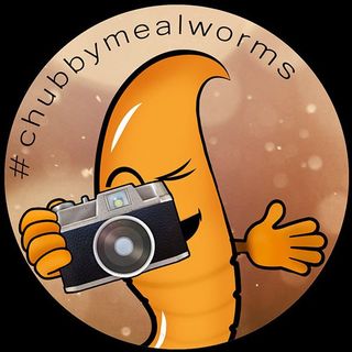 Chubby Mealworms USA logo