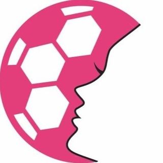 soccergrlprobs logo