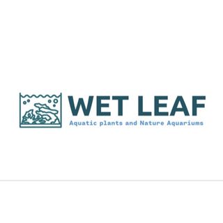 The Wet Leaf logo