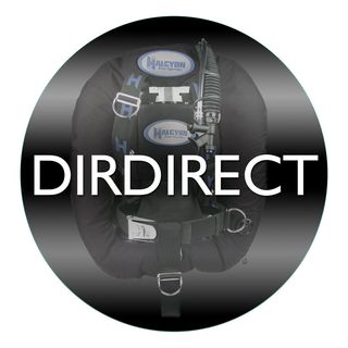 DirDirect logo