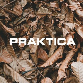 PRAKTICA logo