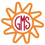 Goat Milk Stuff logo