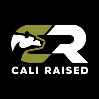 Cali Raised LED logo