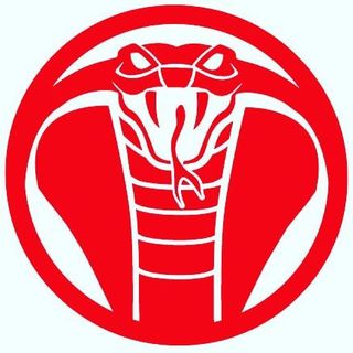 Broken Promises Co logo