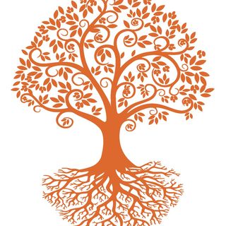 The Olive Groove logo