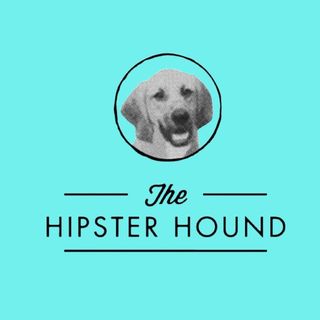 The Hipster Hound logo