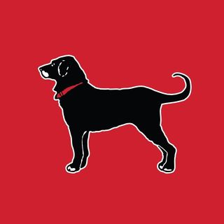 The Black Dog logo