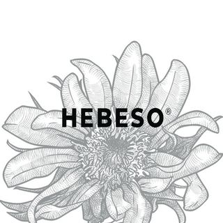 HEBESO logo