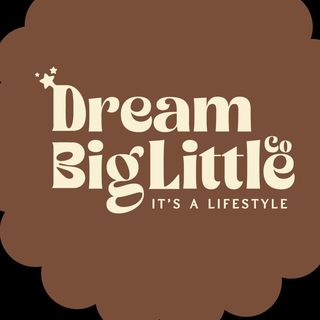 DREAM BIG LITTLE CO logo