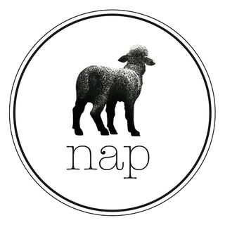 Nap logo