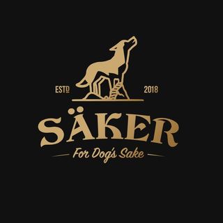 Säker logo