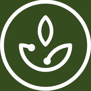 Physician Designed™ logo