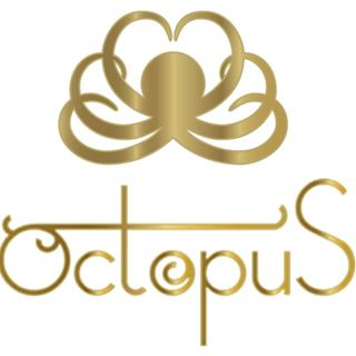 Octopus Denmark logo