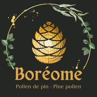 Boreome logo