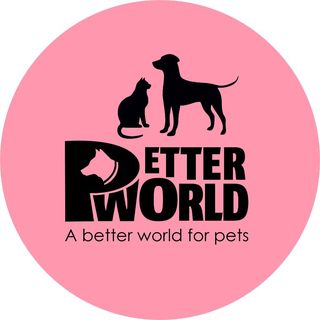 Petter World logo