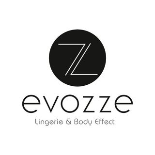 evozze logo