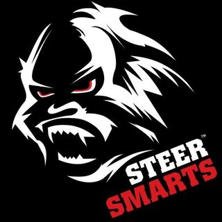 Steer Smarts logo