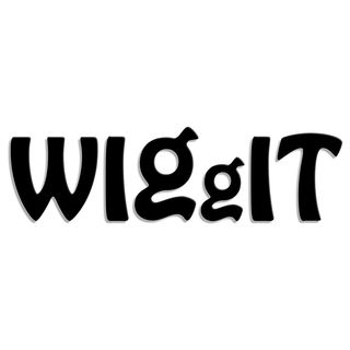 WIGgIT logo