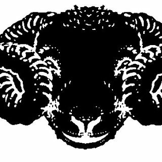 Black Sheep Knitwear logo