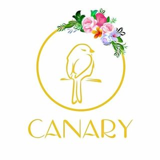 SHOP CANARY CLOTHING logo