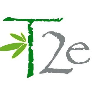 Transitions2earth® logo