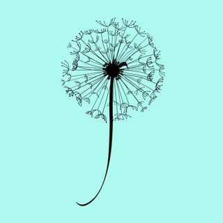 Boutique Dandelion logo