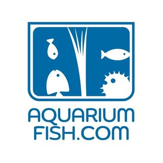 AquariumFish.com logo