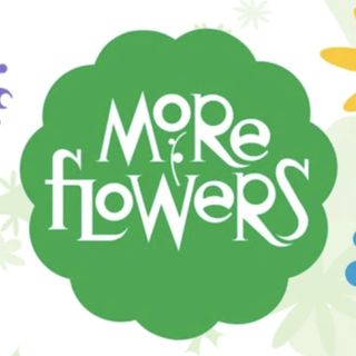 More Flowers, LLC logo