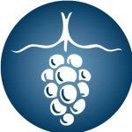 Hamptons Wine Shoppe logo