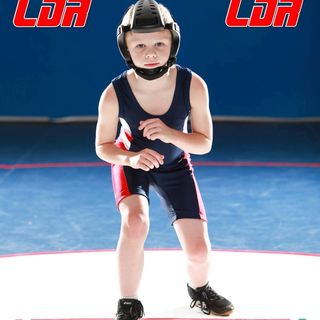 LDR Headgear LLC logo