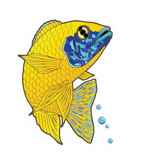 Super Cichlids logo