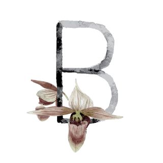 Bloomen logo