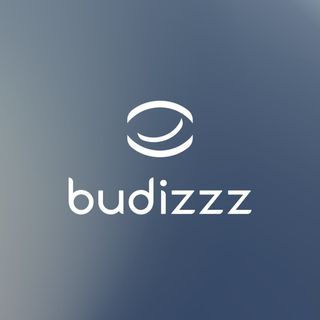 Budizzz logo