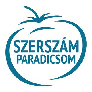 Szerszámparadicsom logo