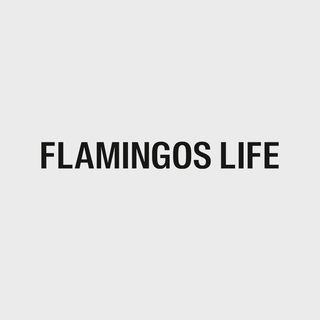 Flamingos' Life logo