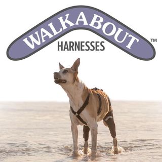  Walkabout Harnesses, LLC  logo