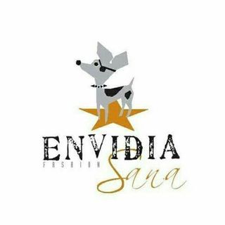 Envidia Sana  logo