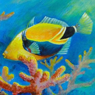 Humu Surf Company logo