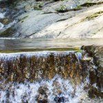 Clean Water Mill logo