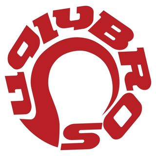 uglyBROS USA logo
