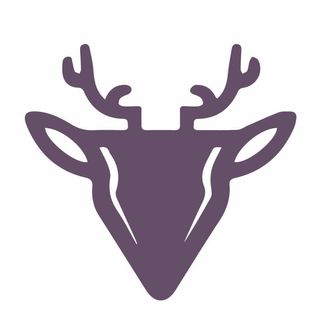 Raindoor logo