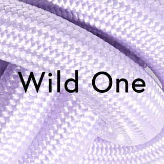 Wild One logo