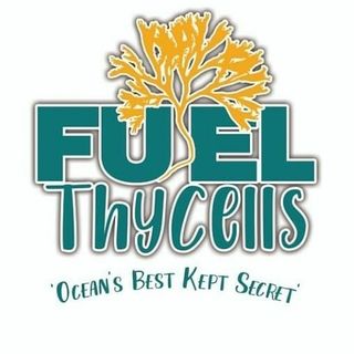 FUELTHYCELLS logo