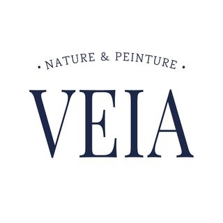 Veia logo